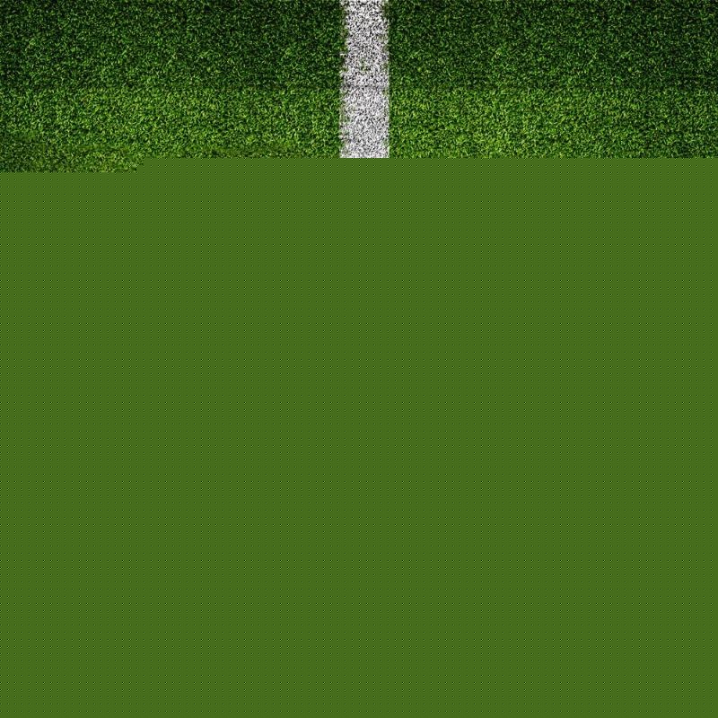 实力