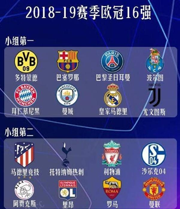 的全能型球
