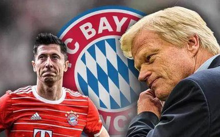 它还揭示了 它还揭示了