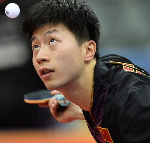 中提供了竞 中提供了竞